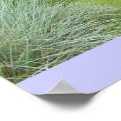 BLUE GRASS UND PURPLE BLUMEN POSTER (Ecke)