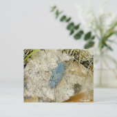 Blue Grasshopper Postkarte (Stehend Vorderseite)