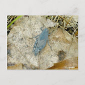 Blue Grasshopper Postkarte (Vorderseite)