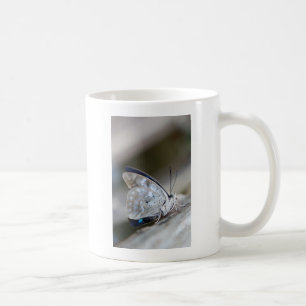 Blue Gray Butterfly Kaffeetasse