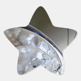 Blue Gray Butterfly Stern-Aufkleber