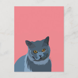 Blue Gray Cat Lover Postkarte