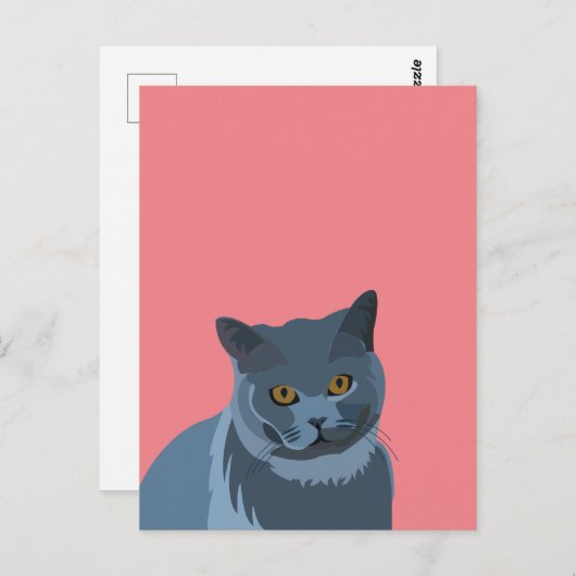 Blue Gray Cat Lover Postkarte (Vorne/Hinten)