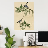 Blue Gray Flycatcher Poster (Heimbüro)