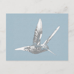Blue Gray Hummingbird Postkarte