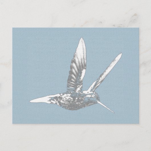 Blue Gray Hummingbird Postkarte (Vorderseite)