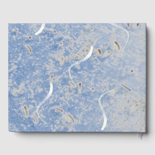 Blue & Gray Marble Monogramed Guest Book Gästebuch (Rückseite)