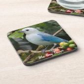 Blue-Gray Tanager Untersetzer (Linke Seite)