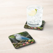 Blue-Gray Tanager Untersetzer (Rechte Seite)