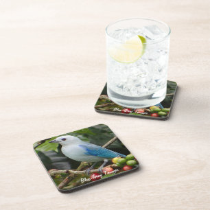 Blue-Gray Tanager Untersetzer