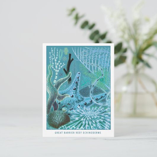 Blue Great Barrier Reef Echinodermie | VINTAG Postkarte (Stehend Vorderseite)