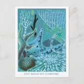Blue Great Barrier Reef Echinodermie | VINTAG Postkarte (Vorderseite)