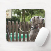 Blue Great Dane und Mops Hunde an der Leine Mousepad (Mit Mouse)
