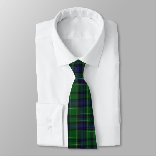 Blue & Green Abercrombie Kariert Neck Tie Krawatte (Gebunden)