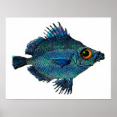 Blue Green Fantasy Discus Poster (Vorne)