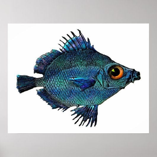 Blue Green Fantasy Discus Poster (Vorne)