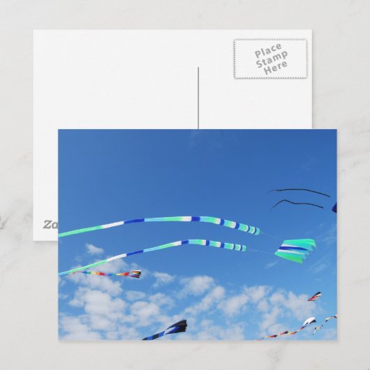 Blue Green Long Schwanz Kite Postkarte (Vorne/Hinten)