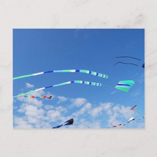 Blue Green Long Schwanz Kite Postkarte (Vorderseite)