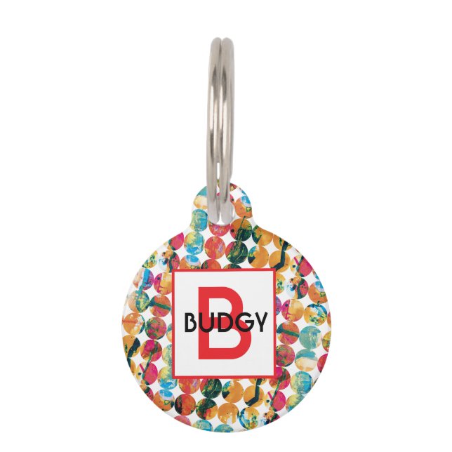 Blue Green Orange Grunge Circle Abstract Modern Haustiermarke (Vorderseite)