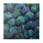 Blue-green pheasant feather design fliese (Vorderseite)