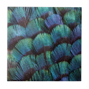 Blue-green pheasant feather design fliese