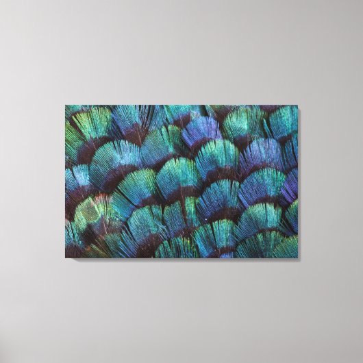 Blue-green pheasant feather design leinwanddruck (Vorderseite)