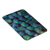 Blue-green pheasant feather design magnet (Rechte Seite)