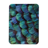 Blue-green pheasant feather design magnet (Vertikal)
