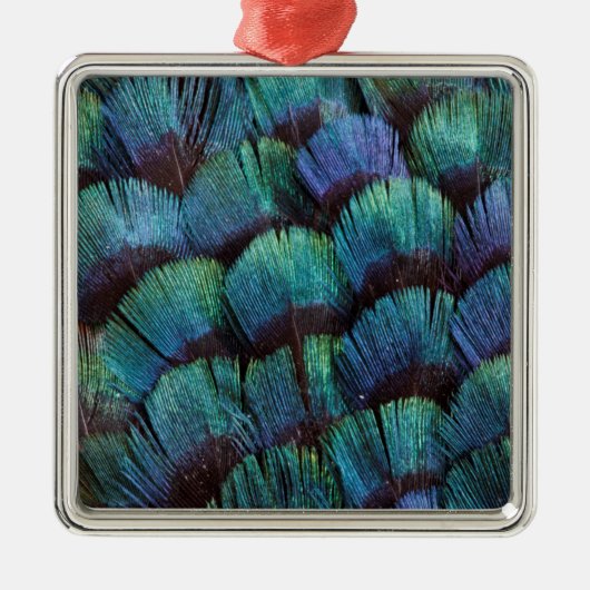 Blue-green pheasant feather design ornament aus metall (Vorne)