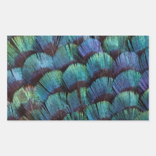 Blue-green pheasant feather design rechteckiger aufkleber (Vorderseite)