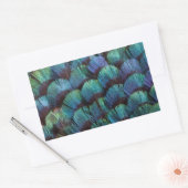 Blue-green pheasant feather design rechteckiger aufkleber (Umschlag)
