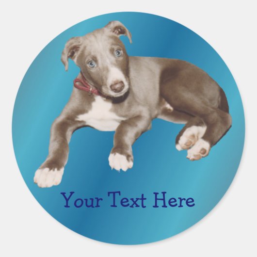 Blue Greyhound Puppy Animal Sticker (Vorderseite)