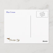 Blue Grouse Wildlife Series # 1 Postkarte (Rückseite)