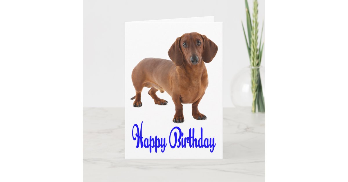 blue happy birthday dackel welpen hund card karte zazzle de