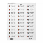 Blue Hat Red-Dackel (Vorne)