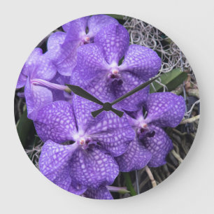 Blue Hawaiian Orchids Große Wanduhr