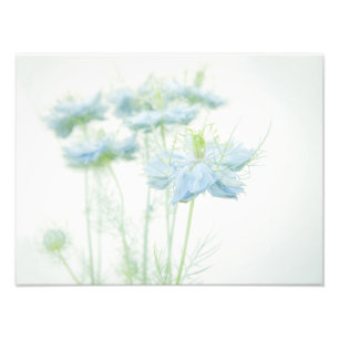 Blue Haze Large Fotodruck