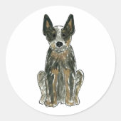 Blue Heeler Aufkleber ACD Rinder Hund (Vorderseite)