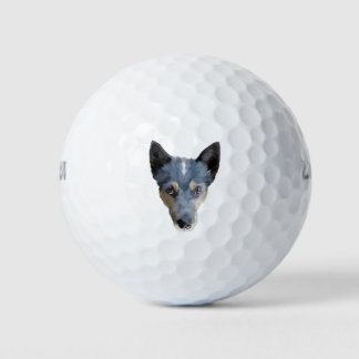 Blue Heeler / Australischer Rinderhund Golfball