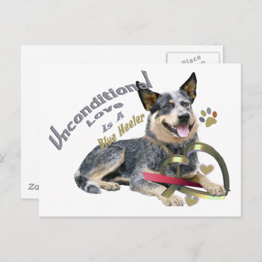 Blue Heeler bedingungslose Liebe Postkarte (Vorne/Hinten)
