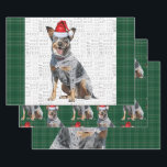 Blue Heeler Christmas Dog Green Kariert Geschenkpapier Set<br><div class="desc">Ein bezaubernder Rinderhund,  Queensland oder Blue Heeler,  ist mit einer Weihnachtsmannmütze für die Urlaubssaison bereit. Dieser niedliche Weihnachtshund ist mit einem roten und grünen Urlaub gepaart,  kariert auf diesem Set der Geschenkpackung für den Hundefreund.</div>
