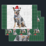 Blue Heeler Christmas Dog Green Kariert Geschenkpapier Set<br><div class="desc">Ein bezaubernder Rinderhund,  Queensland oder Blue Heeler,  ist mit einer Weihnachtsmannmütze für die Urlaubssaison bereit. Dieser niedliche Weihnachtshund ist mit einem roten und grünen Urlaub gepaart,  kariert auf diesem Set der Geschenkpackung für den Hundefreund.</div>