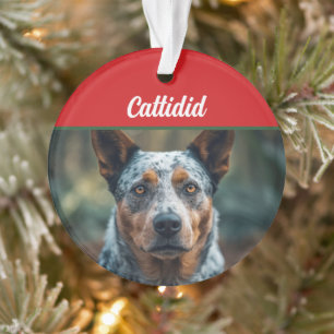 Blue Heeler Dog Holiday Foto Weihnachten Ornament