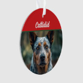 Blue Heeler Dog Holiday Foto Weihnachten Ornament (Vorderseite)