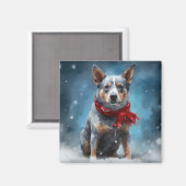Blue Heeler Dog in Schnee Weihnachten Magnet (Vorderseite/Rückseite)
