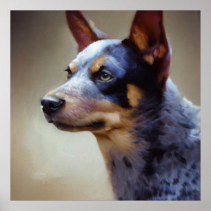 Blue Heeler Dog Poster