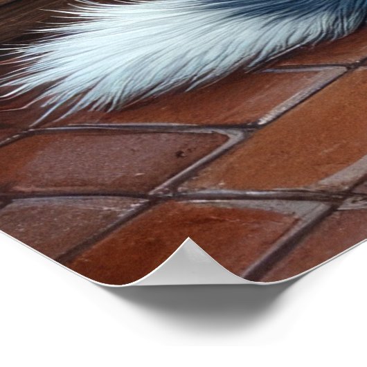 Blue Heeler Fireplace with Christmas Lights Poster (Ecke)