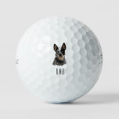 Blue Heeler Golfball (Vorderseite)