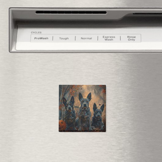 Blue Heeler Halloween Night Doggy Delight Magnet (In Situ (Geschirrspüler))