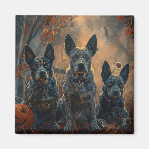 Blue Heeler Halloween Night Doggy Delight Magnet